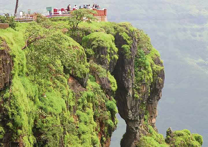 Elephant's Head Point